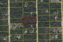 Undeveloped Land for sale in Suwannee County, Florida