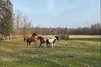 Property for sale in Portage County, Ohio