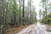 Undeveloped Land for sale in Volusia County, Florida