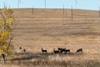 Property for sale in Elbert County, Colorado