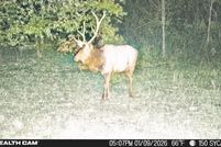 Farm Property for sale in Johnson County, Kentucky