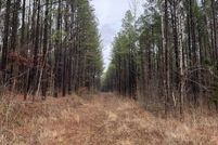 Property for sale in Tishomingo County, Mississippi