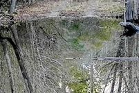 Property for sale in Brunswick County, North Carolina