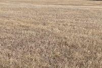 Undeveloped Land for sale in Leavenworth County, Kansas