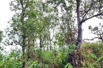 Property for sale in Hawaii County, Hawaii