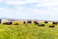 Property for sale in San Luis Obispo County, California