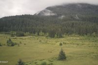 Undeveloped Land for sale in Wrangell Borough, Alaska