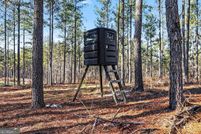 Undeveloped Land for sale in Madison County, Georgia