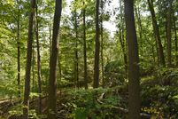 Undeveloped Land for sale in Chautauqua County, New York