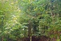 Property for sale in Essex County, New York