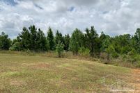 Undeveloped Land for sale in Clarke County, Alabama