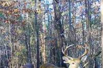 Waterfront Property for sale in Monroe County, Alabama