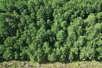 Property for sale in Escambia County, Alabama