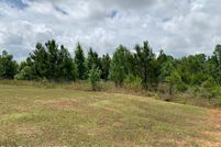 Undeveloped Land for sale in Clarke County, Alabama