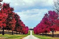 Farm Property for sale in Shelby County, Kentucky