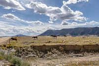 Undeveloped Land for sale in Albany County, Wyoming