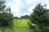 Undeveloped Land for sale in Osceola County, Michigan