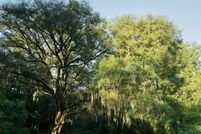 Property for sale in McIntosh County, Georgia