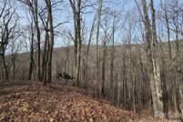 Undeveloped Land for sale in Haywood County, North Carolina