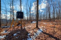 Undeveloped Land for sale in Pike County, Ohio