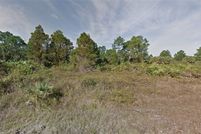 Undeveloped Land for sale in Lee County, Florida