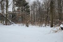 Undeveloped Land for sale in Montcalm County, Michigan