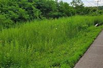 Property for sale in Onondaga County, New York