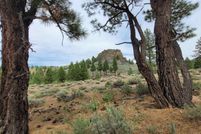 Undeveloped Land for sale in Sierra County, California