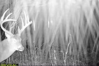 Residential Property for sale in Avoyelles Parish, Louisiana