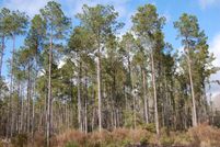 Property for sale in Pender County, North Carolina