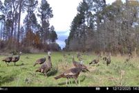 Property for sale in Hinds County, Mississippi