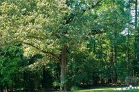 Property for sale in Amelia County, Virginia