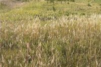 Property for sale in Polk County, Wisconsin