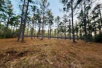 Property for sale in Wilcox County, Alabama