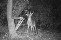 Property for sale in Tyler County, Texas