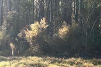 Property for sale in Walker County, Texas