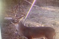 Property for sale in Leon County, Texas