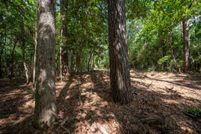 Property for sale in Tyler County, Texas