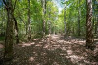 Property for sale in Tyler County, Texas