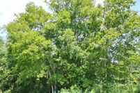 Property for sale in Liberty County, Texas