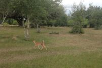 Property for sale in Dewitt County, Texas