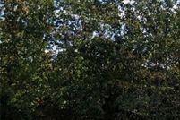 Property for sale in Baxter County, Arkansas