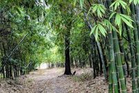 Property for sale in Polk County, Florida