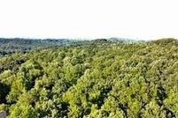 Property for sale in Dawson County, Georgia