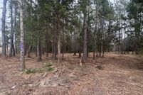 Undeveloped Land for sale in Dale County, Alabama