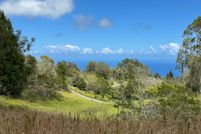 Undeveloped Land for sale in Hawaii County, Hawaii
