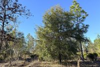 Property for sale in Levy County, Florida