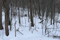 Property for sale in Columbia County, Pennsylvania