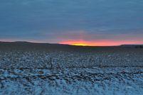 Undeveloped Land for sale in Dawson County, Montana