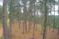 Residential Property for sale in LaSalle Parish, Louisiana